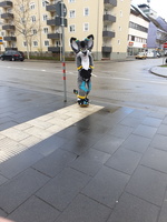 20200307 135150