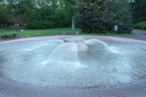 DSC02975