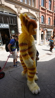 DSC02530