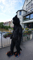 DSC02540
