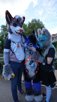 DSC02548