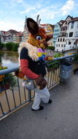 DSC02572