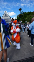 DSC02584