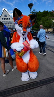 DSC02585