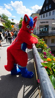 DSC02591