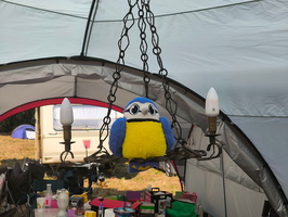 IMG 20240831 150639